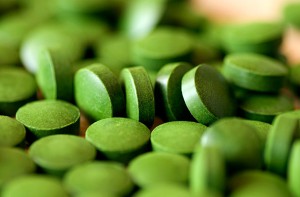 alga chlorella